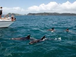 Stunning Auckland With Bays Of Water